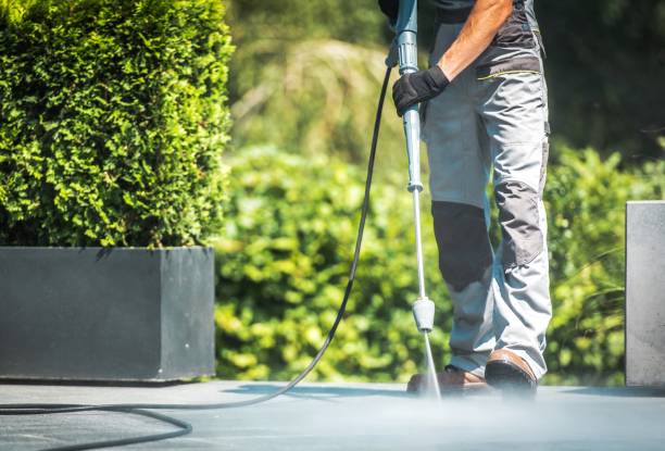 Best Patio and Deck Pressure Washing  in Alanes Ridge, CA