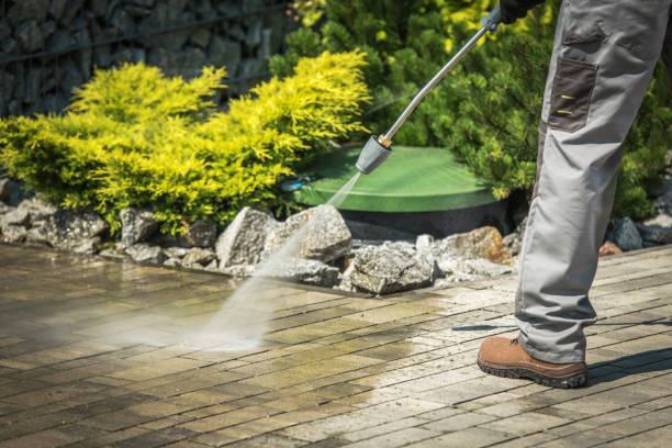 Best Pre-Holiday Cleaning  in Alanes Ridge, CA