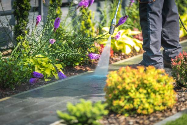 Reliable Acalanes Ridge, CA Pressure Washing Services Solutions